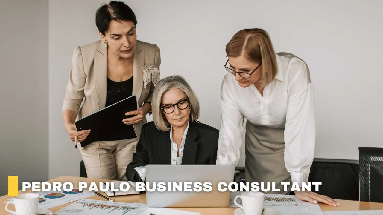 pedro paulo business consultant