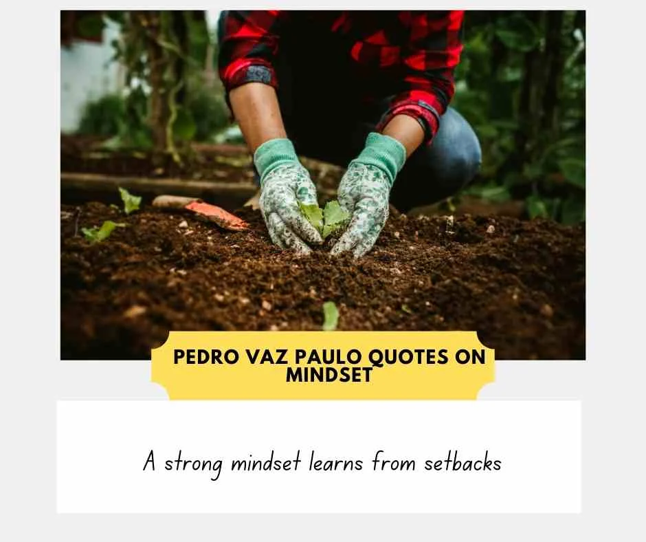 Pedro Vaz Paulo quotes on personal growth