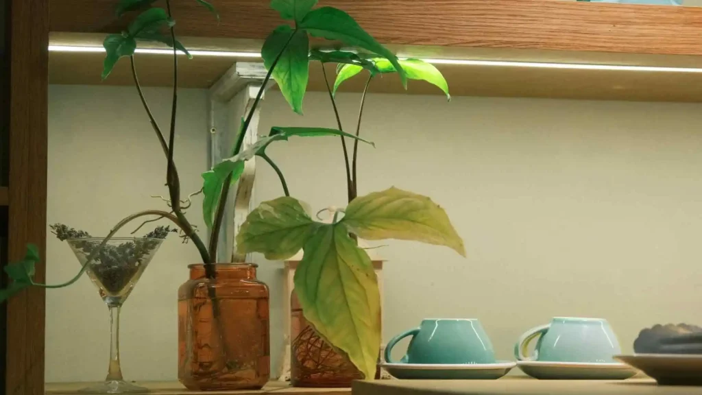 Wedding Gift Ideas for Couples 2026