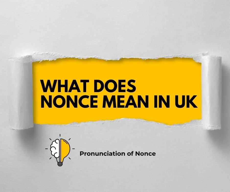 What Does Nonce Mean in UK