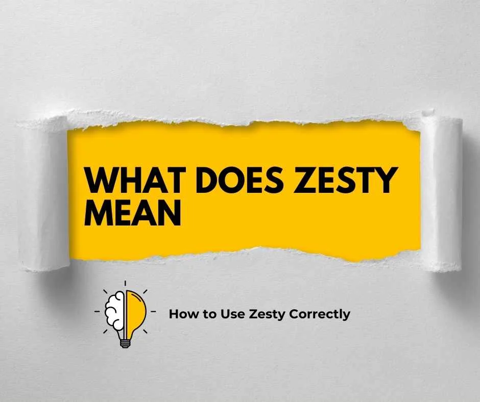 What Does Zesty Mean