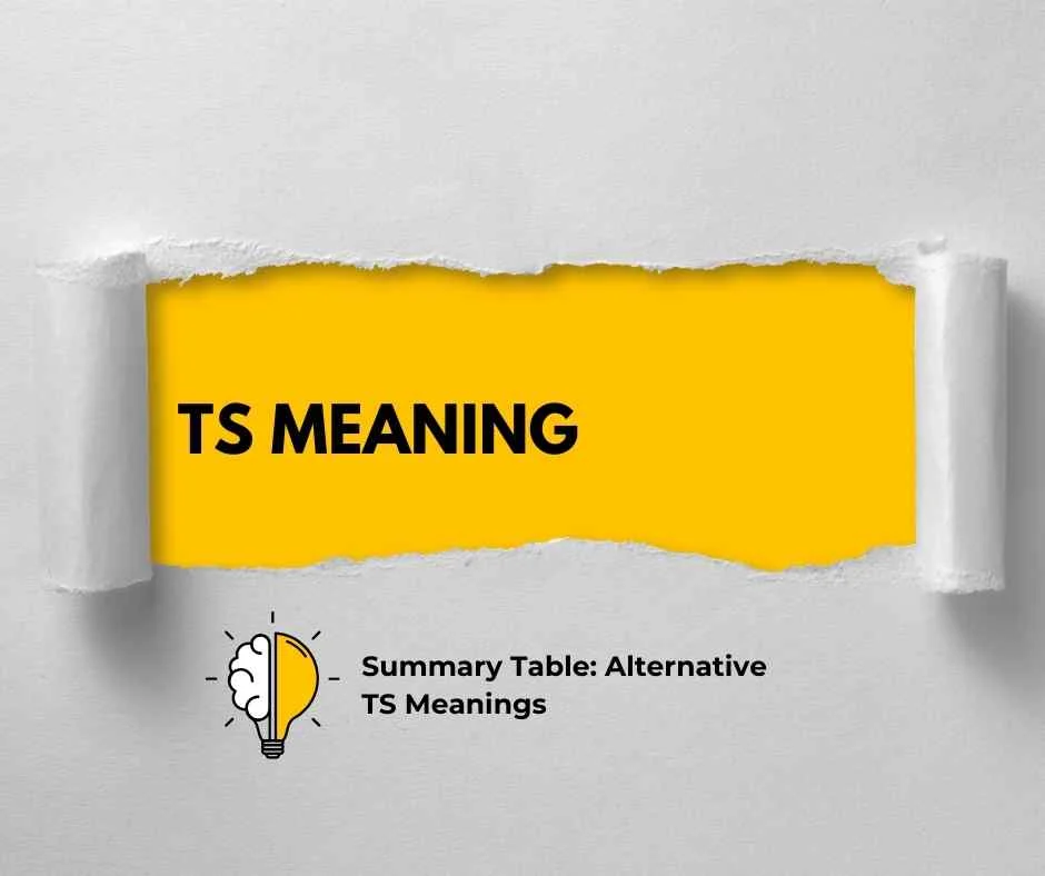TS Meaning