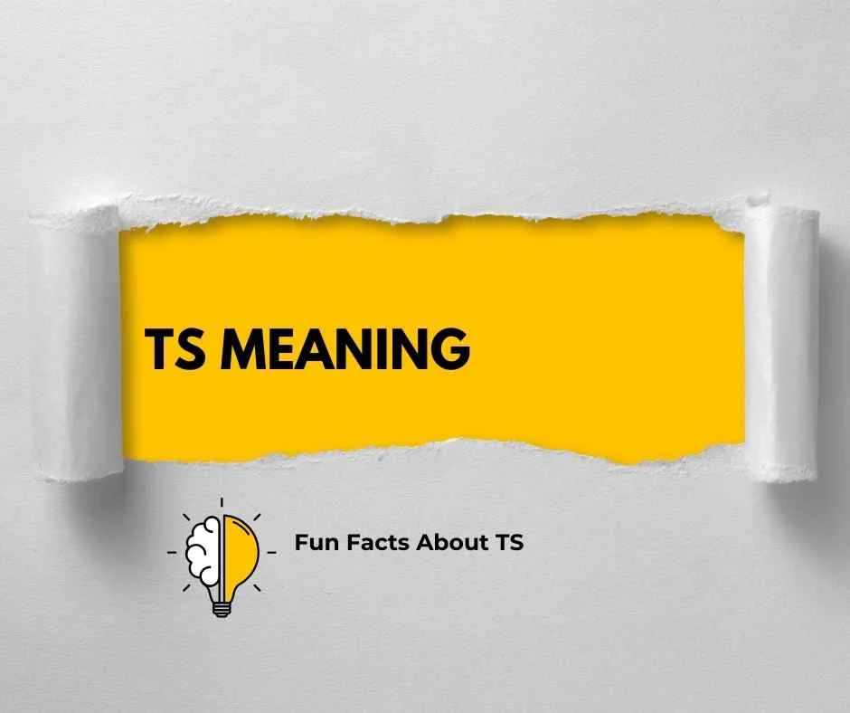 TS Meaning