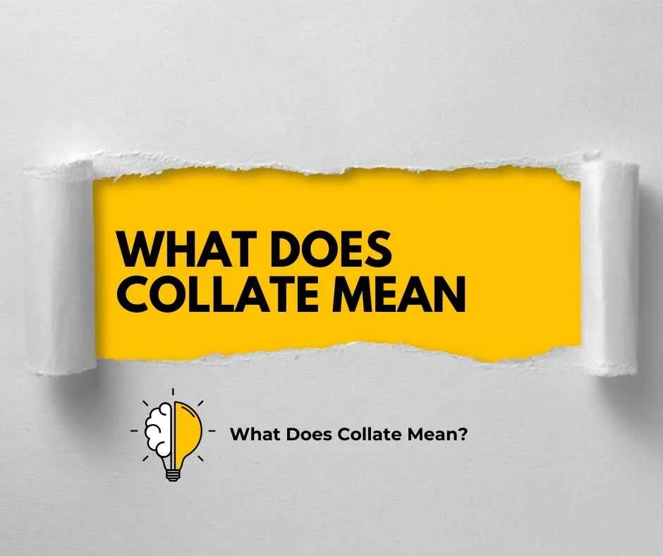 What Does Collate Mean?