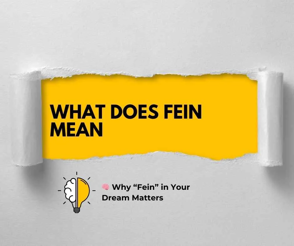What Does Fein Mean