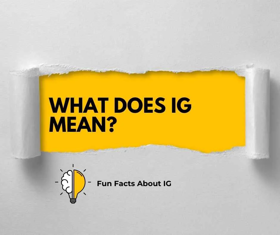 What Does IG Mean?