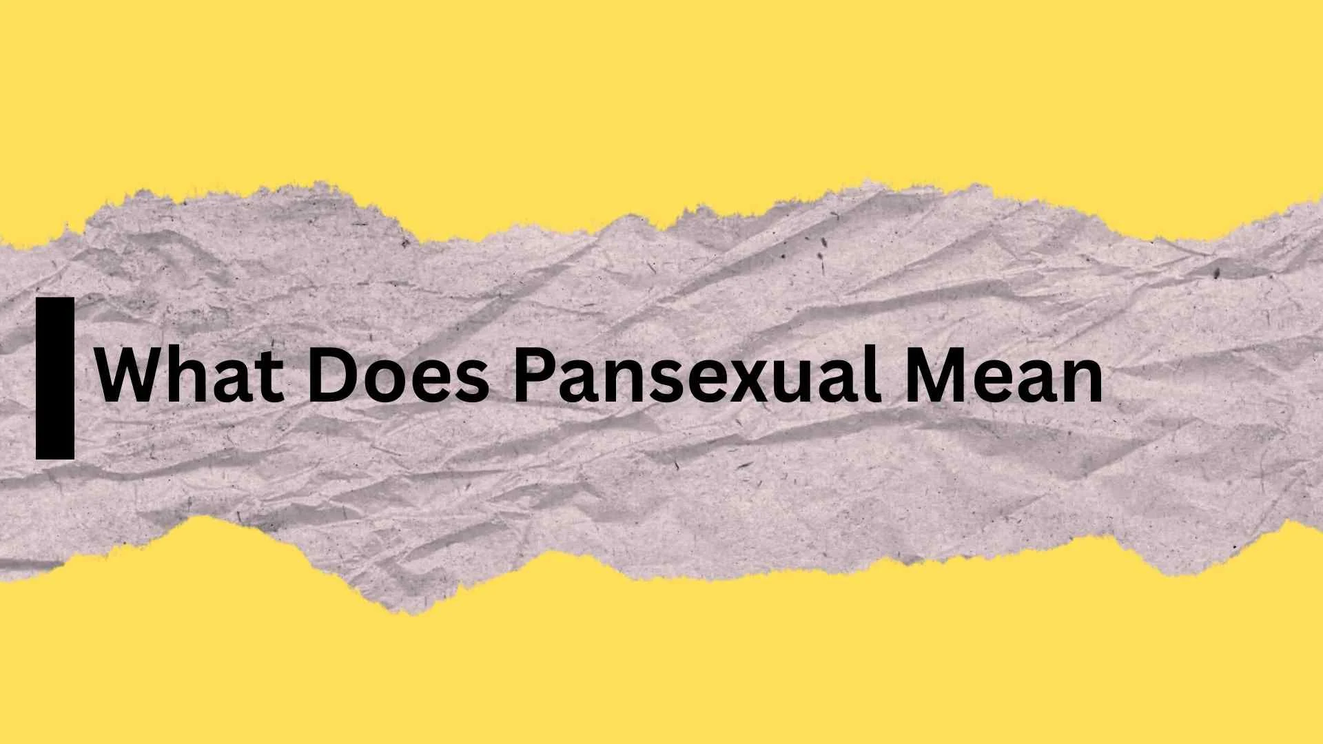 What Does Pansexual Mean