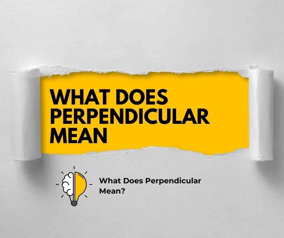 What Does Perpendicular Mean?